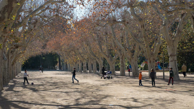 El Parc Municipal i la Llotja