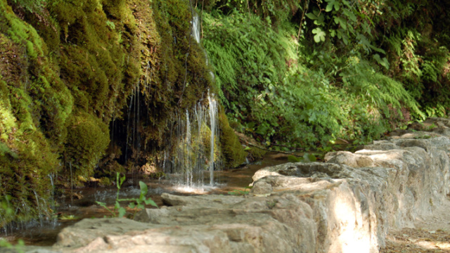 Àrea recreativa del Toscar