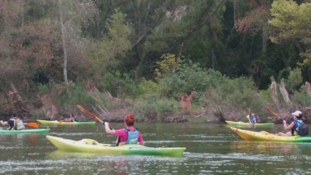 Tortosa a Amposta en piragua