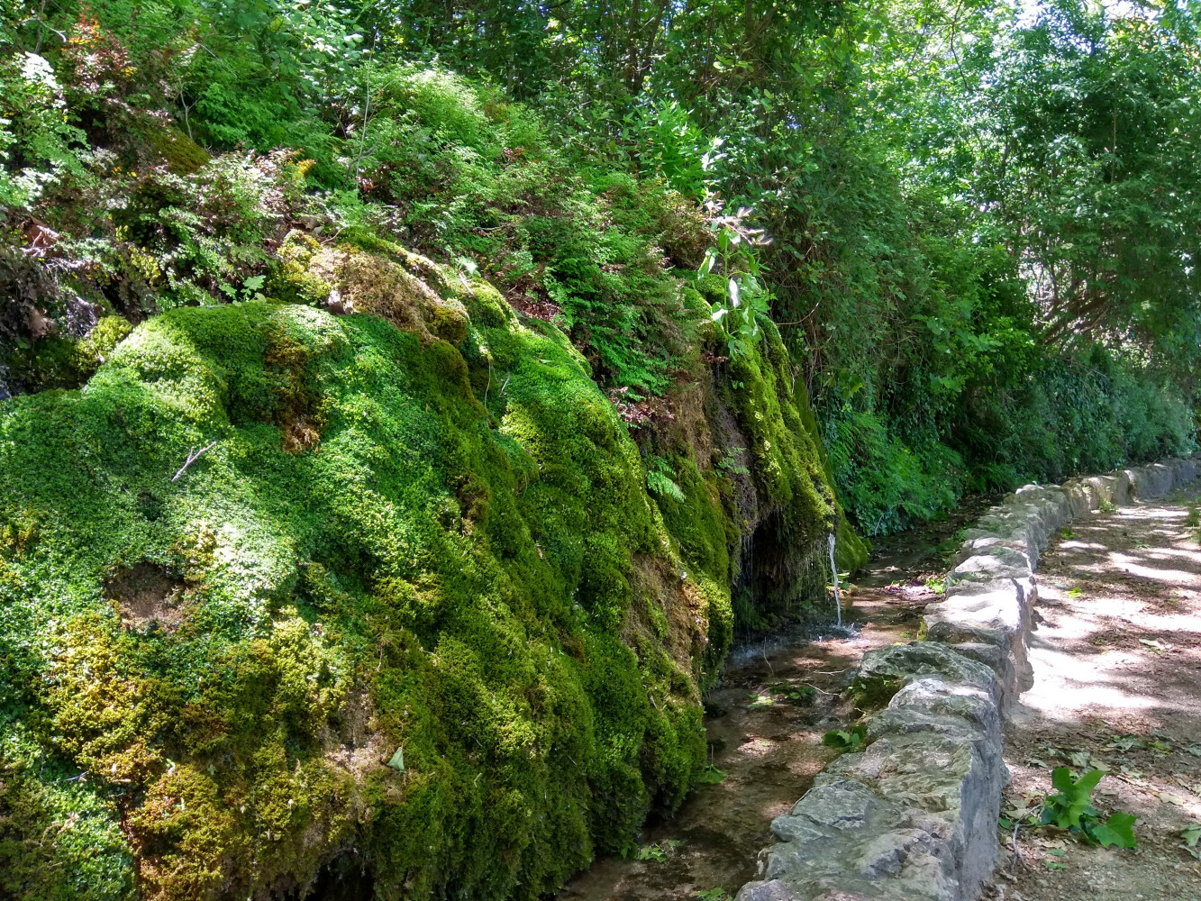 FUENTES DEL TOSCAR Y VÍA VERDE