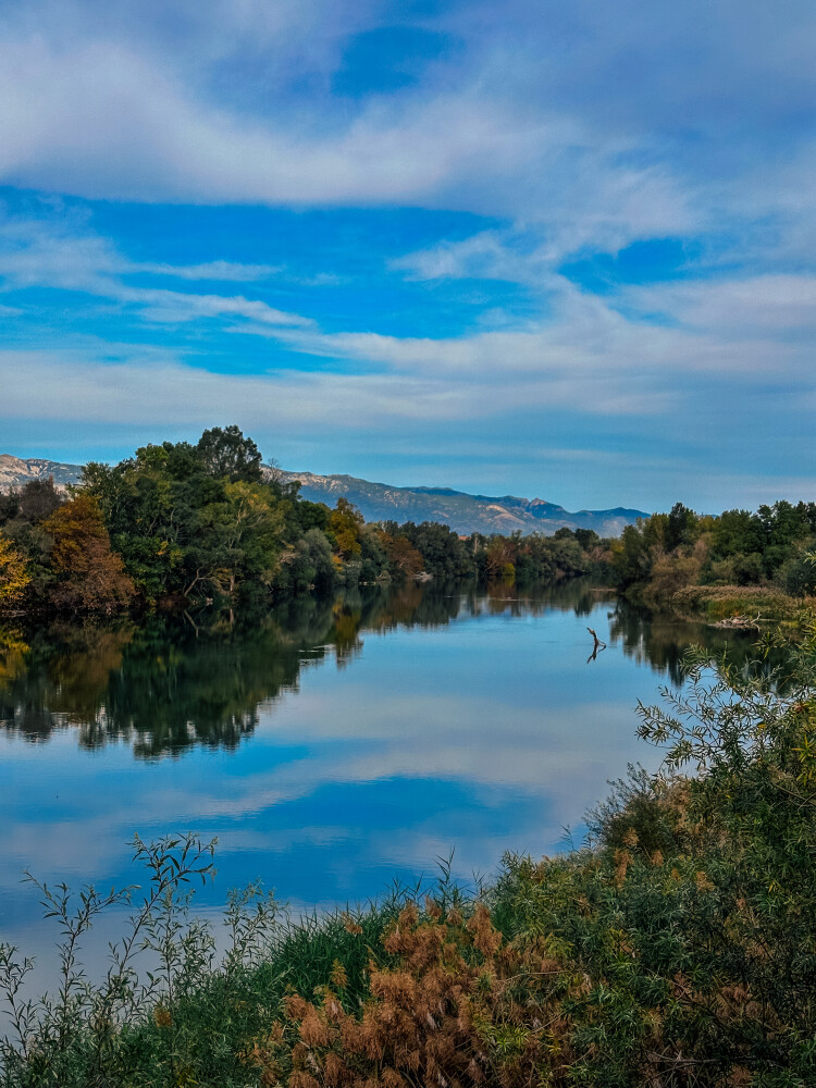 PARAJES DEL RÍO EBRO. FAMILIAR