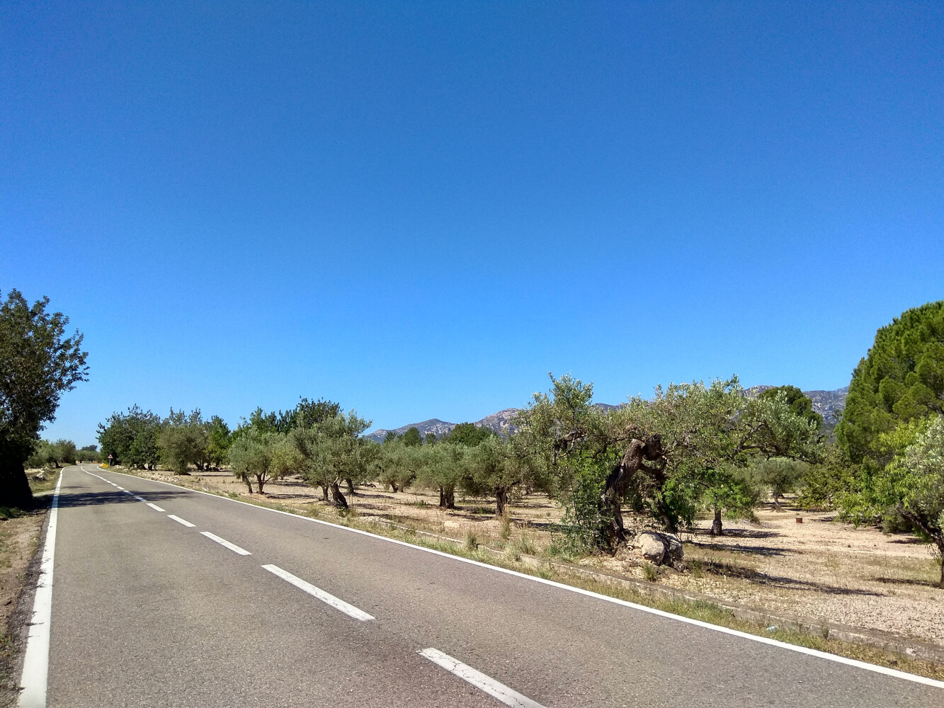 PEDALEANDO ENTRE LA VÍA HERÁCLEA Y LA VÍA AUGUSTA