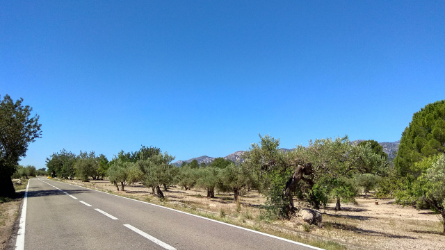 PEDALANT ENTRE LA VIA HERACLEA I LA VIA AUGUSTA