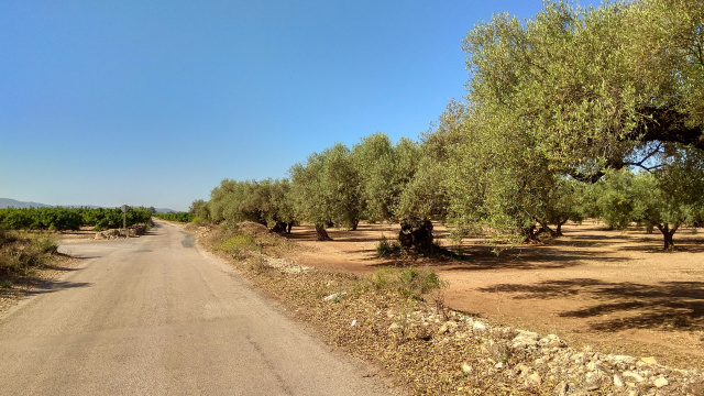 PER CAMINS DEL COMTE REI, SANTS I BANDOLERISME ROMÀNTIC