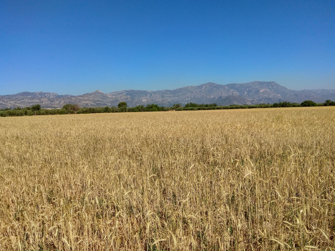 POR LA PLANA DE LA GALERA: SANTA BÁRBARA, LA SÉNIA Y MAS DE BARBERANS