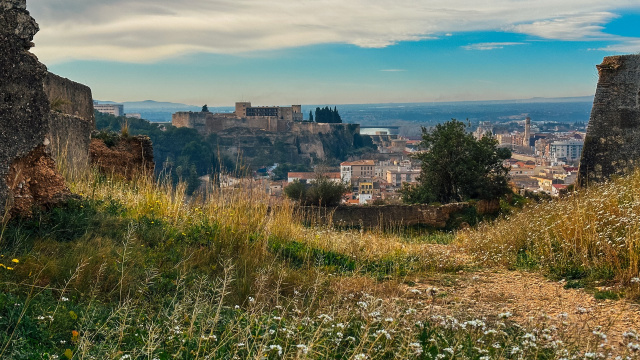 Pujada al Coll i Baixada per Palmes